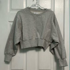 Aritzia TNA Cropped Sweatshirt in Grey